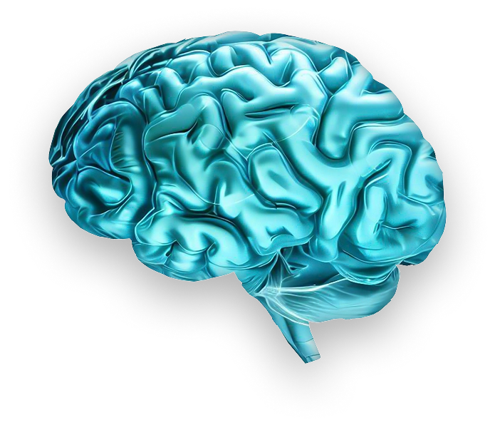 plavi mozak mentorski program